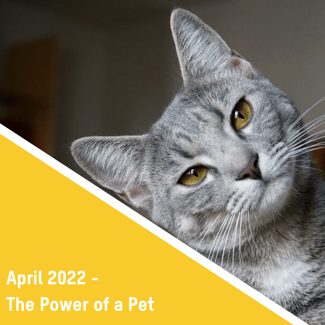 Healthier Habits – April 2022: The Power of a Pet
